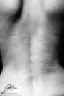 Killer Corset-placeholder