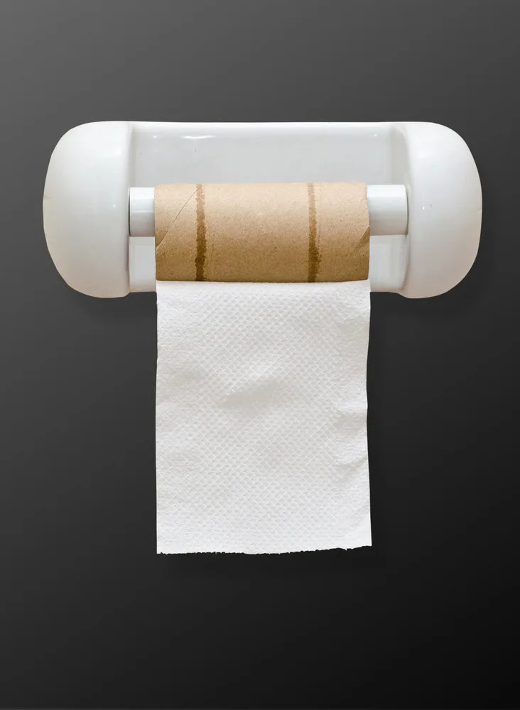 Rogue Toilet Paper
