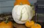 Glitter Monogram Pumpkin-placeholder