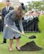 Getting the Dirt-placeholder