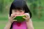 Watermelon-placeholder