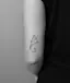 The curves of a seashell.-placeholder