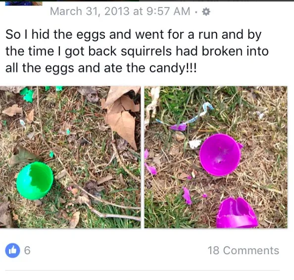 Darn Squirrels