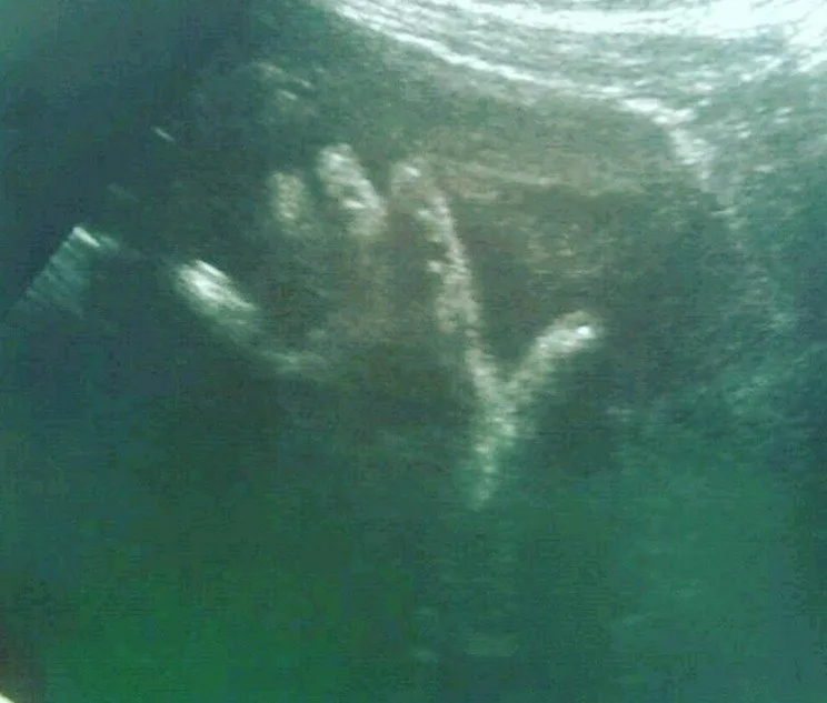 'Poltergeist' Spooky