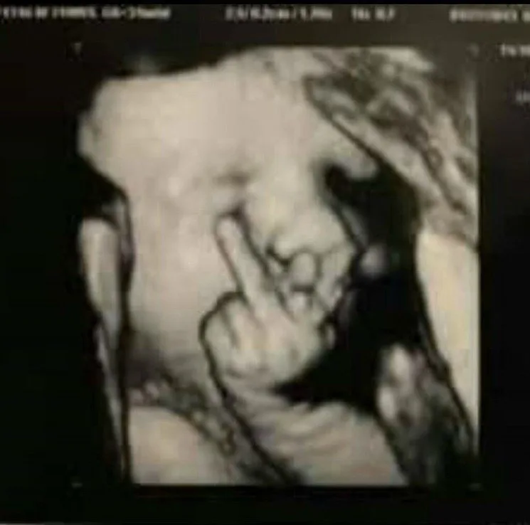 Flipping the Bird