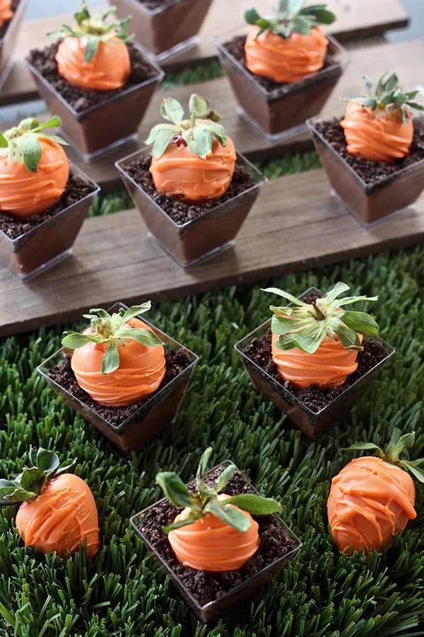 Carrot Patch Dirt Pudding Cups