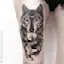 Wolf spirit.-placeholder