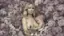 Breastfeeding is Nothing to Feel Shame About-placeholder