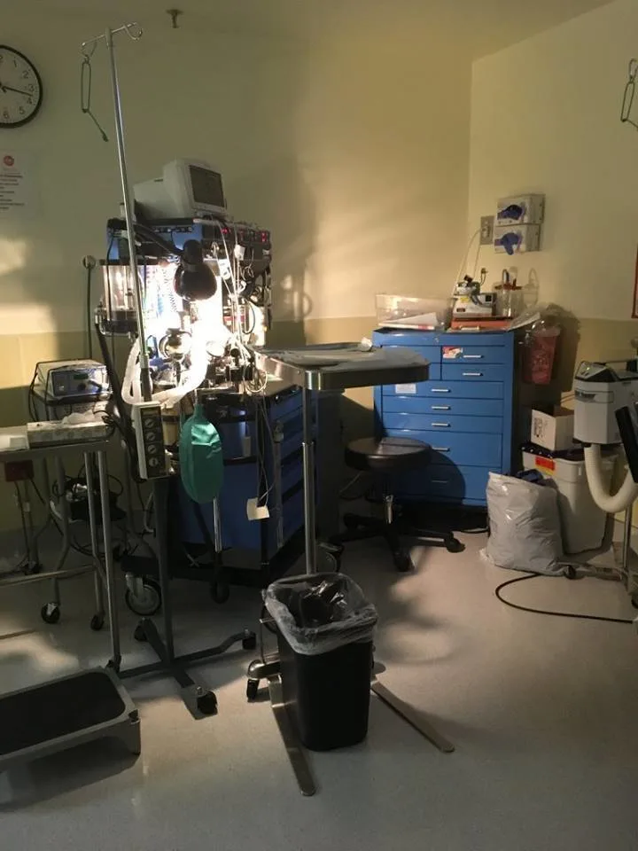 Inside the transfer room where her procedure was done, the embryo waited in an incubator.