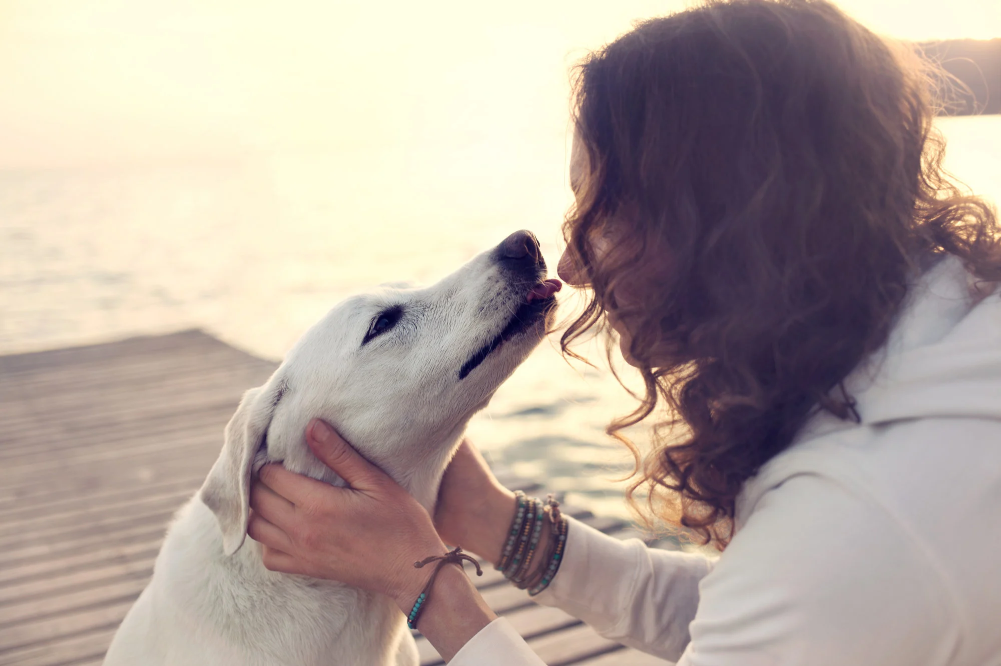 Puppy Love