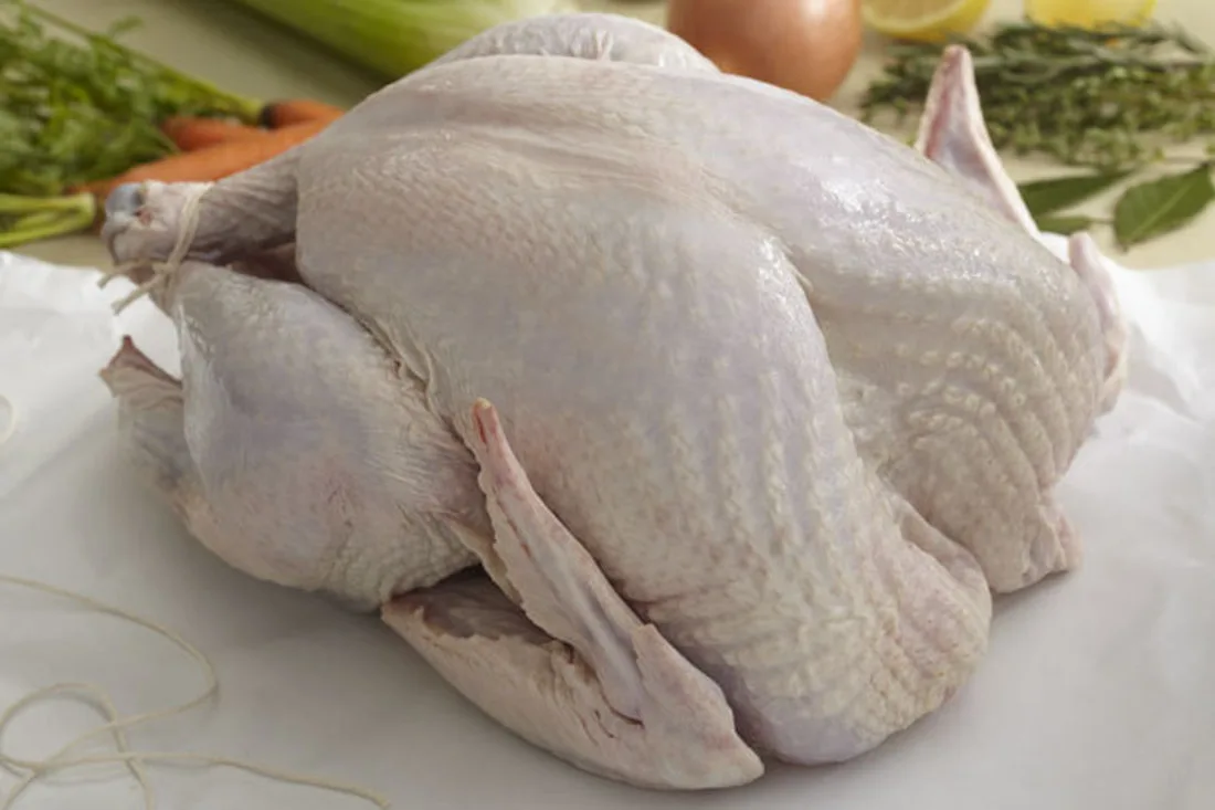 Thanksgiving Turkey