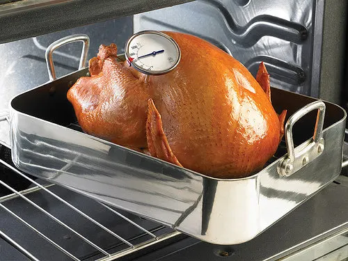 Taking a Turkey's Temperature