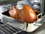 Taking a Turkey's Temperature-placeholder