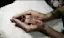 The symbol of enlightenment.-placeholder