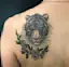 Tiger spirit.-placeholder