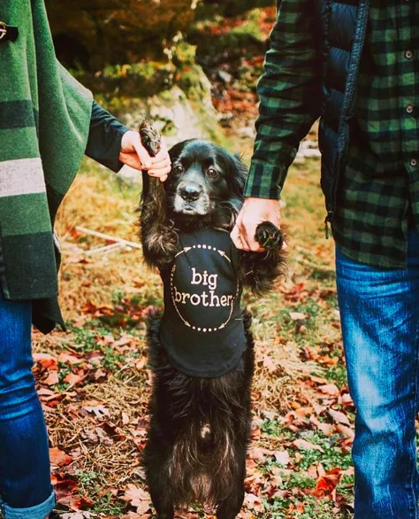 Big brother.