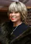 Tina Turner-placeholder