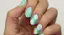Baby Blue Daisies-placeholder