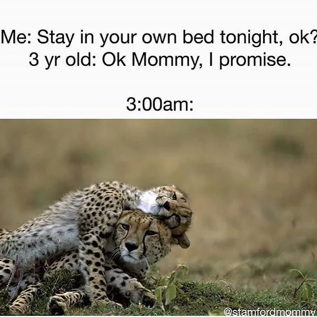 Getting Toddlers to Sleep in Their Own Beds