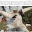 Handling Public Toddler Meltdowns-placeholder