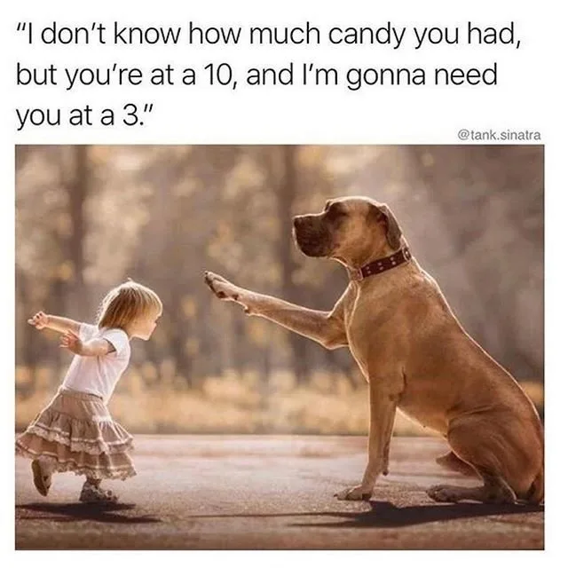When a Toddler Is Driving the Pets Nuts