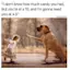 When a Toddler Is Driving the Pets Nuts-placeholder