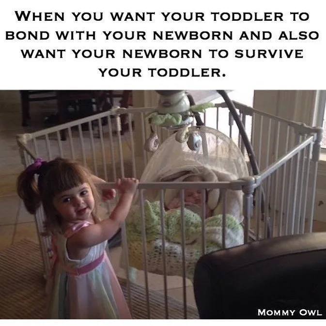 Teaching Toddlers to Be "Gentle"