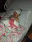 Tony and Kylie Cravens were absolutely devastated to see their daughter hurt by something they previously thought was safe.-placeholder