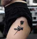 Blackout Rose Hip Tattoo