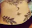 Olive Branch Hip Tattoo-placeholder