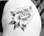Old School Rose Hip Tattoo-placeholder