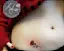 Single Rose Hip Tattoo-placeholder