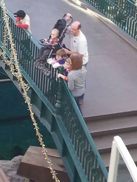 Stroller Dad Fail