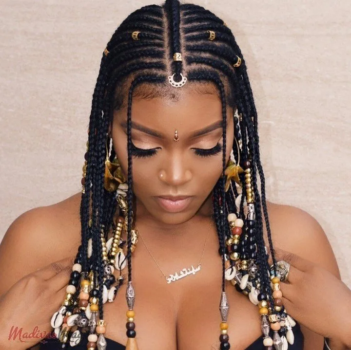 Fulani Braids Protective Style