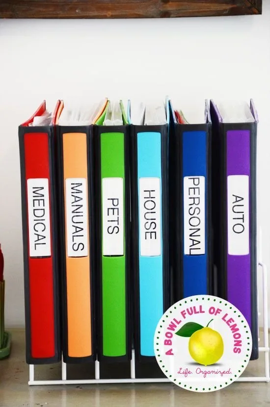 Store Binders in a Dish Organizer
