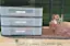 Separate School Stuff by Drawers-placeholder