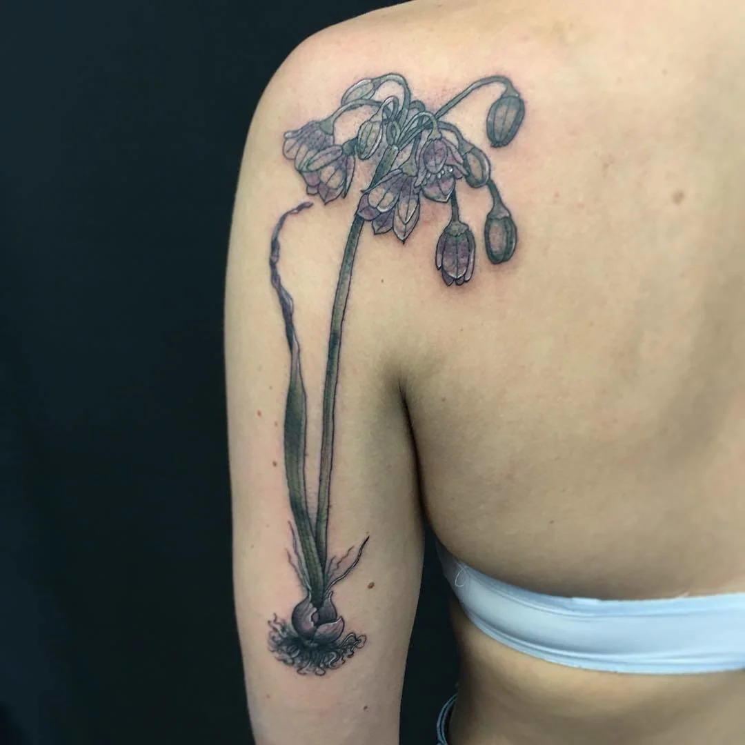 Three-Cornered Leek Vintage Flower Tattoo