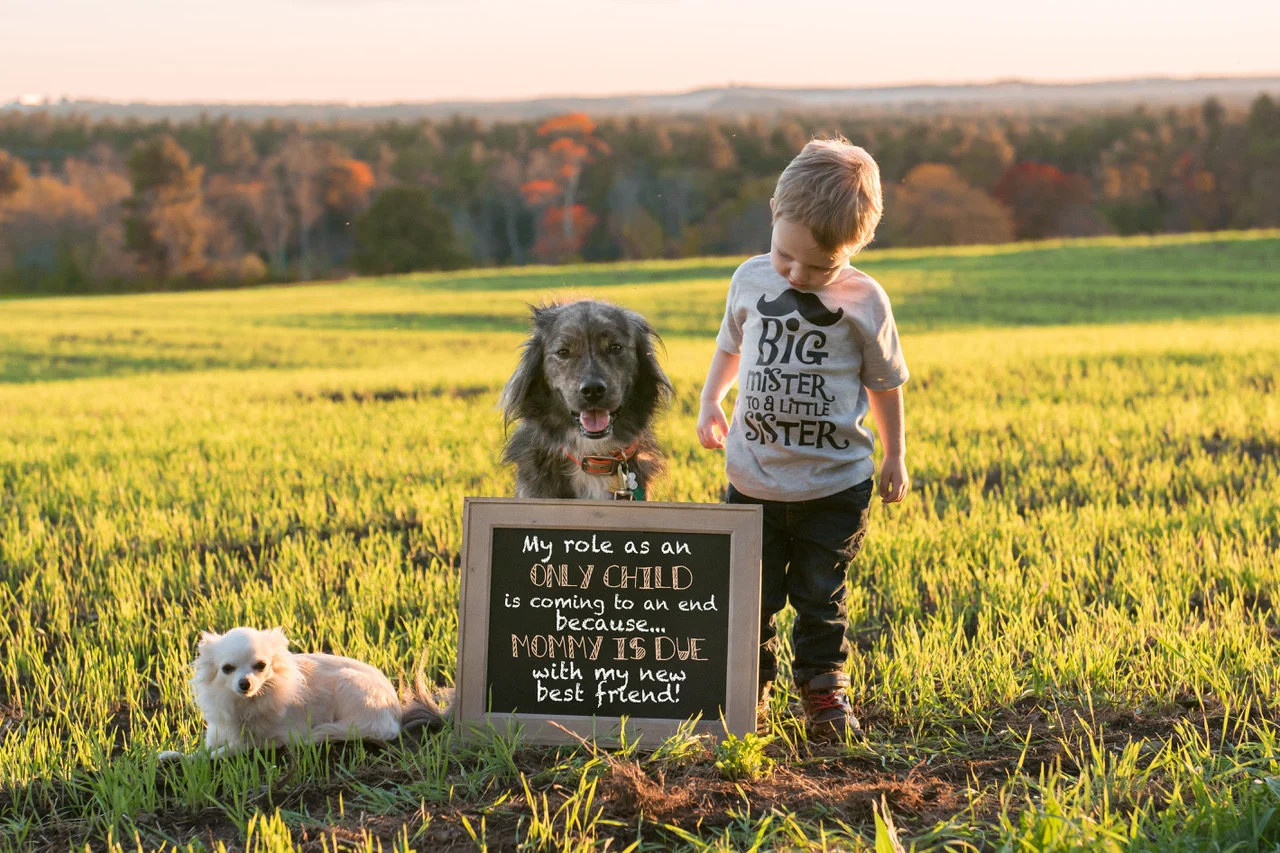 Chelsea Karr and her husband, Hollis Brodmerkle, were excited when they learned that they were pregnant with their second child in June 2017.