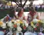 Matching Bridesmaids' Headpieces-placeholder