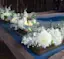 Taste of Florals-placeholder