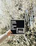 Download 20 Adorable Letter Board Pregnancy Announcement Ideas Cafemom Com