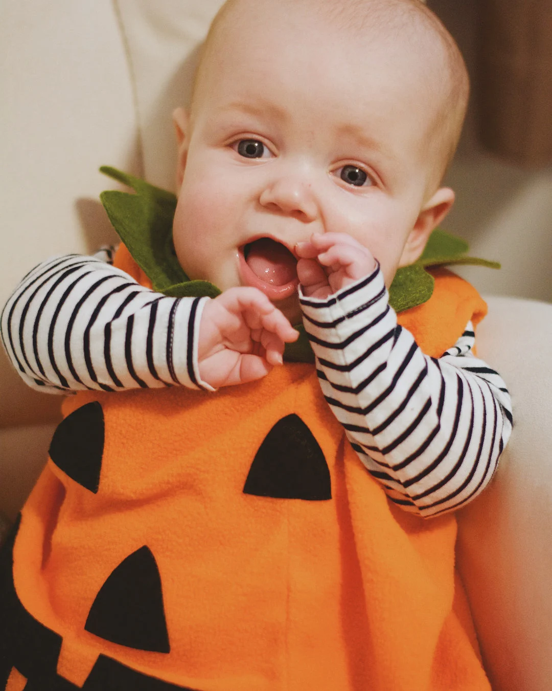 The Cutest Pumpkin Around