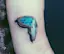 Salvador Dali's 'The Persistence of Memory' Tattoo-placeholder