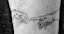 Michelangelo's 'Creation of Adam' Tattoo-placeholder