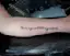 We Are All Unique Quote Tattoo-placeholder
