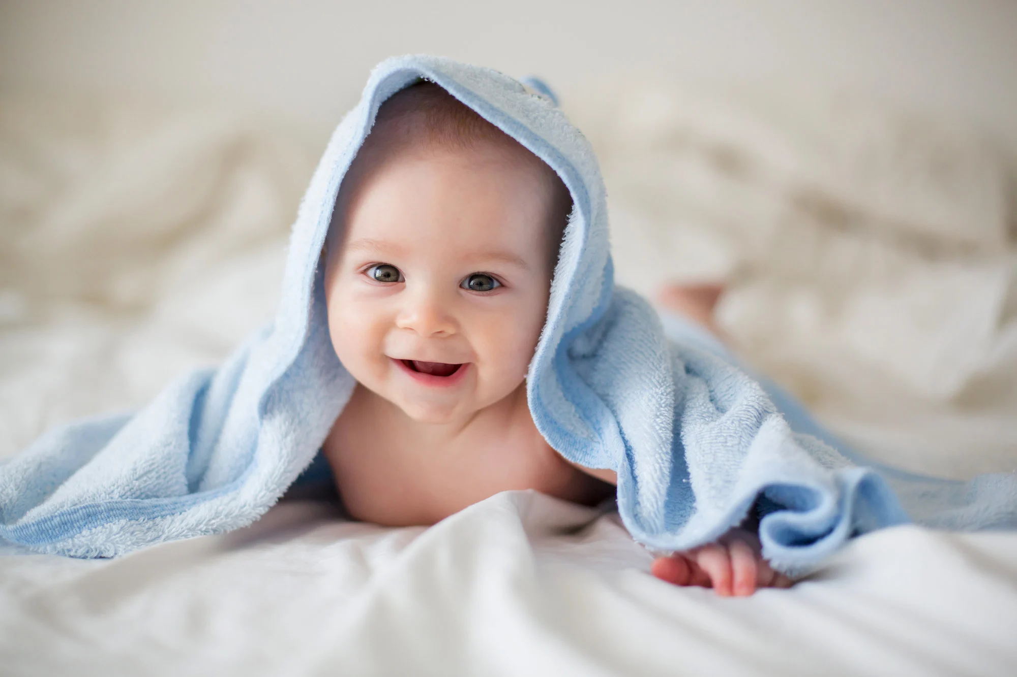 LITTLE SWEETMEAT