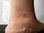 Wave Tattoo-placeholder