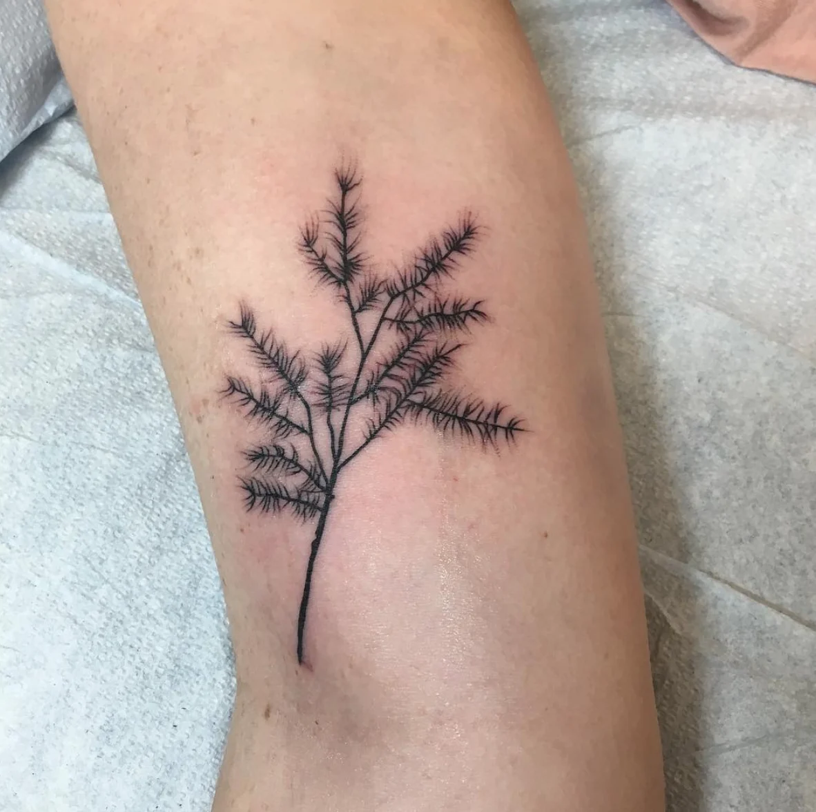 Evergreen Tattoo