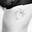 Sag Constellation-placeholder