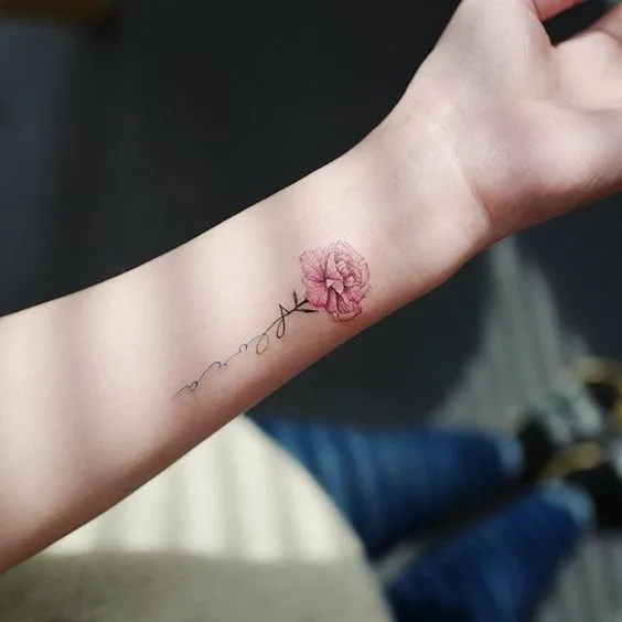 Pink Carnation